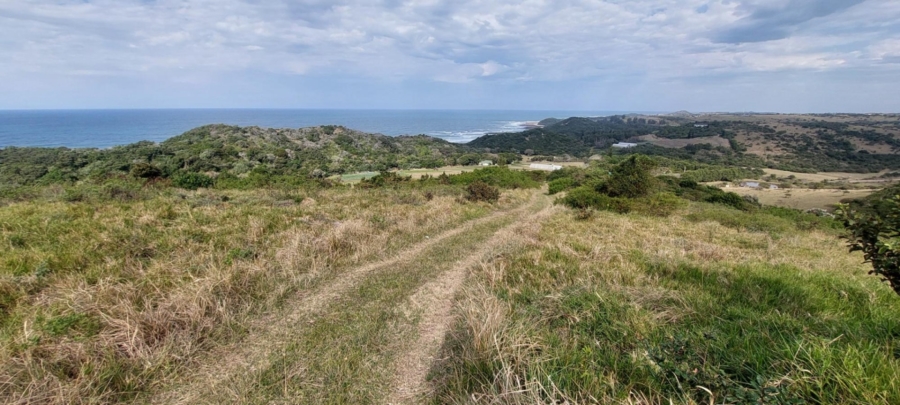 0 Bedroom Property for Sale in Khamanga Bay Eastern Cape